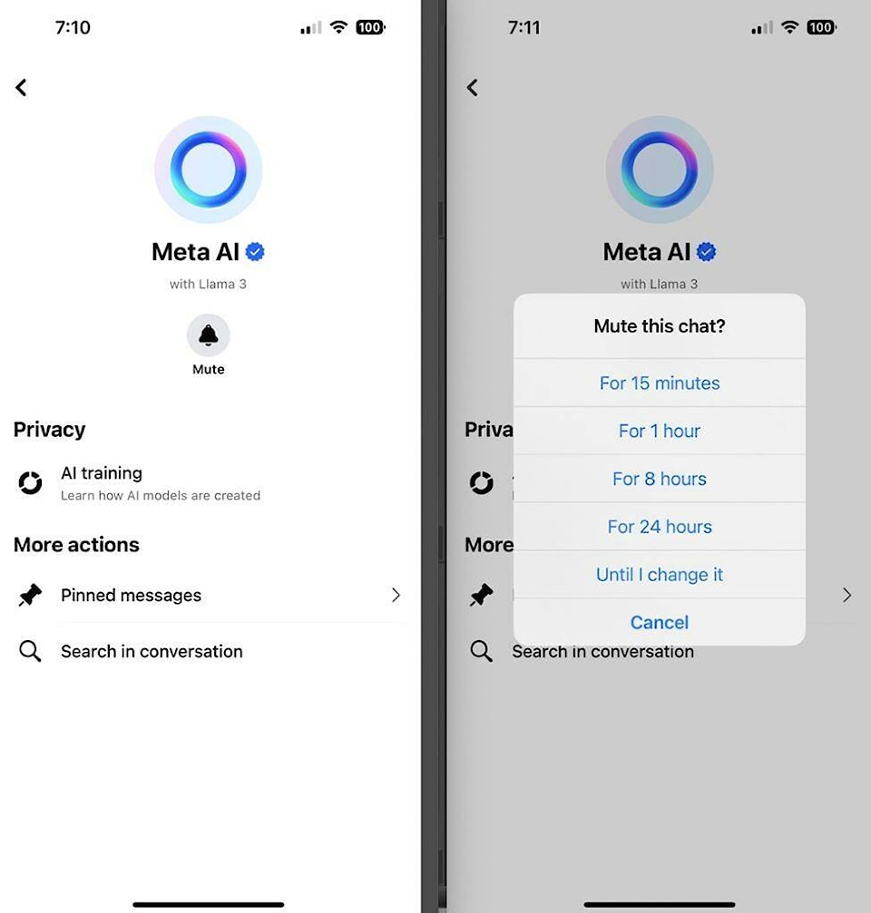 Meta AI permission on Facebook, Instagram, Whatsapp